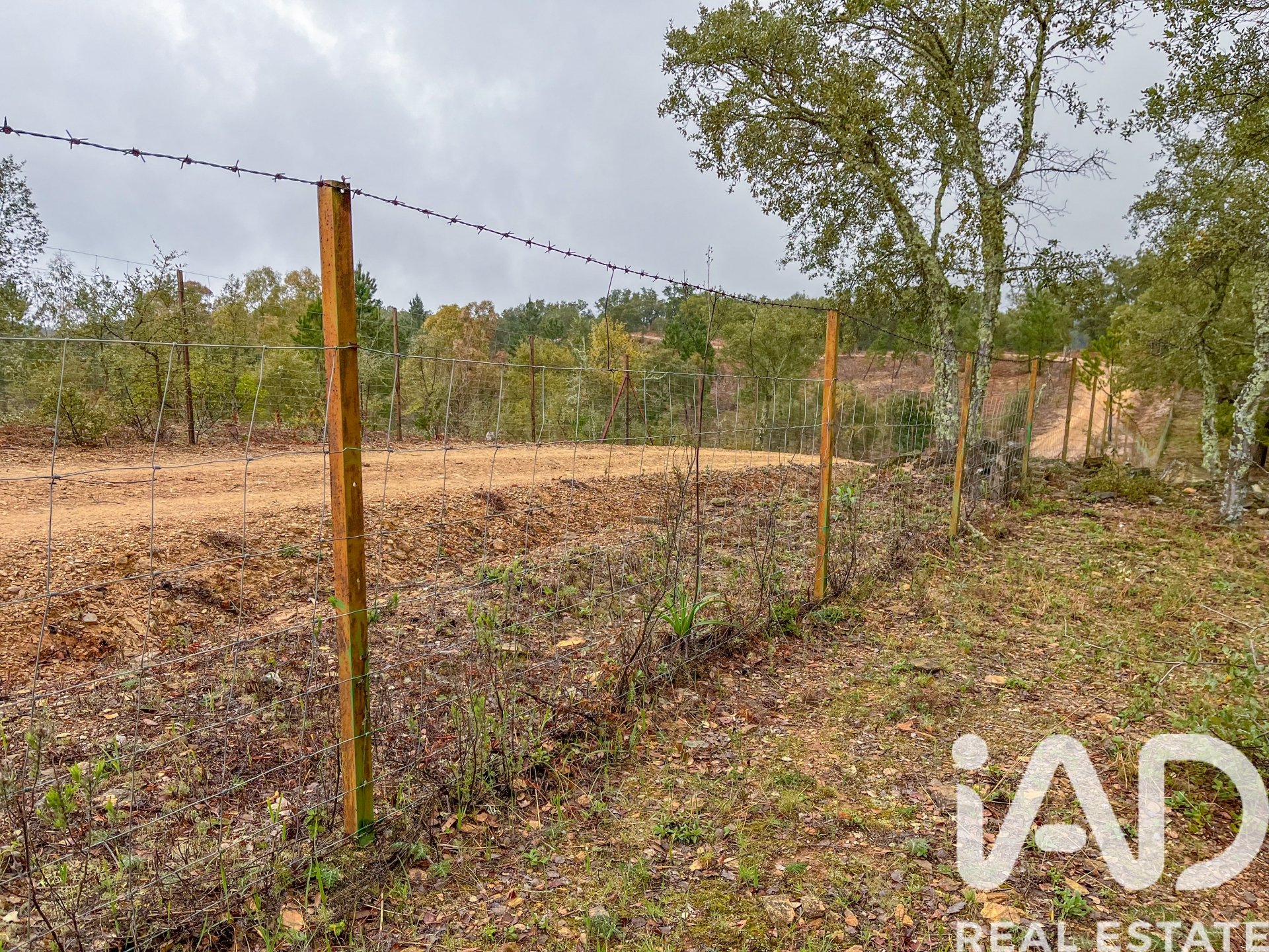 Terreno a Galaroza, Huelva, Spagna 35000 mq. N° 185087