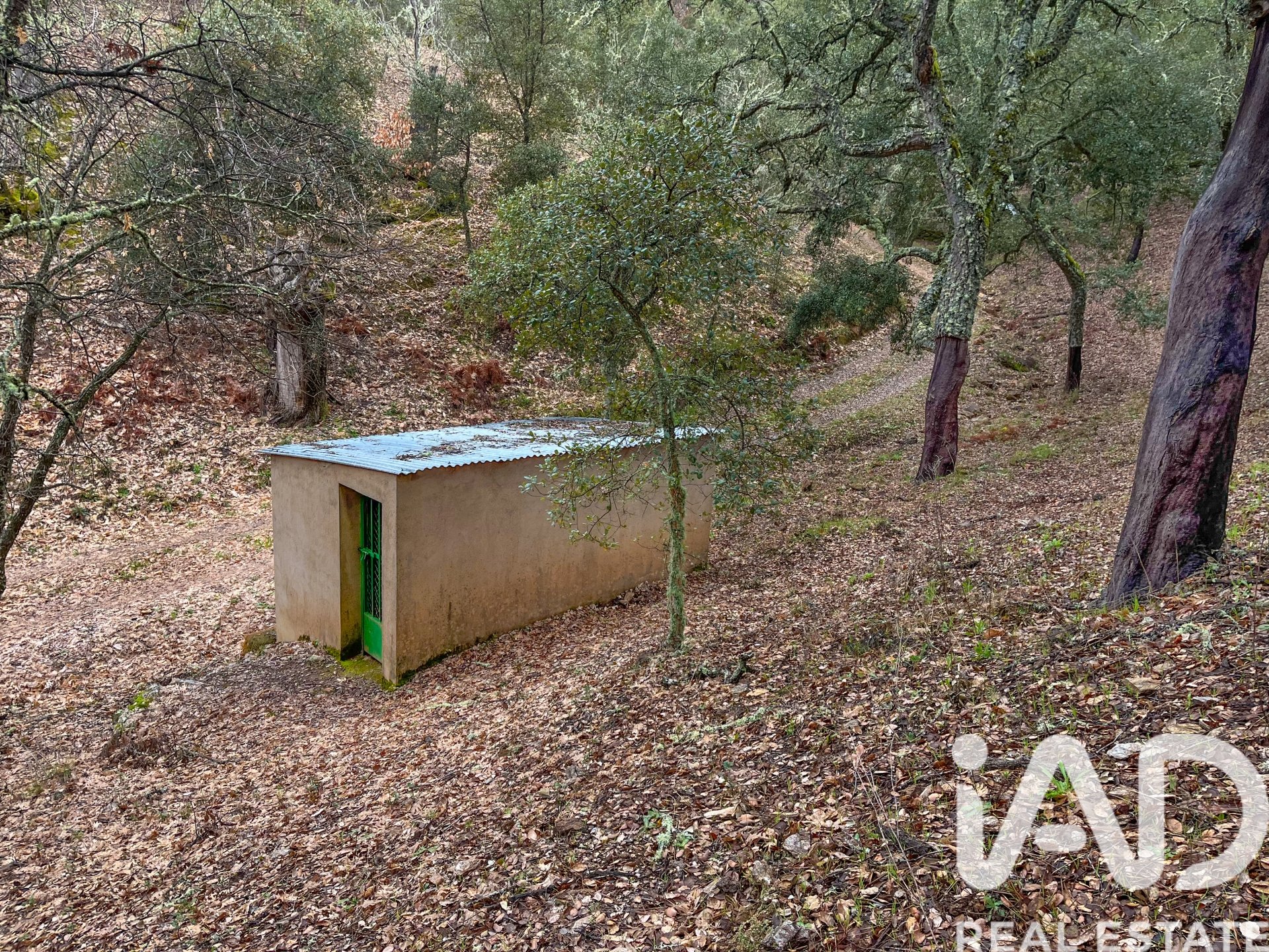 Terreno a Galaroza, Huelva, Spagna 35000 mq. N° 185087