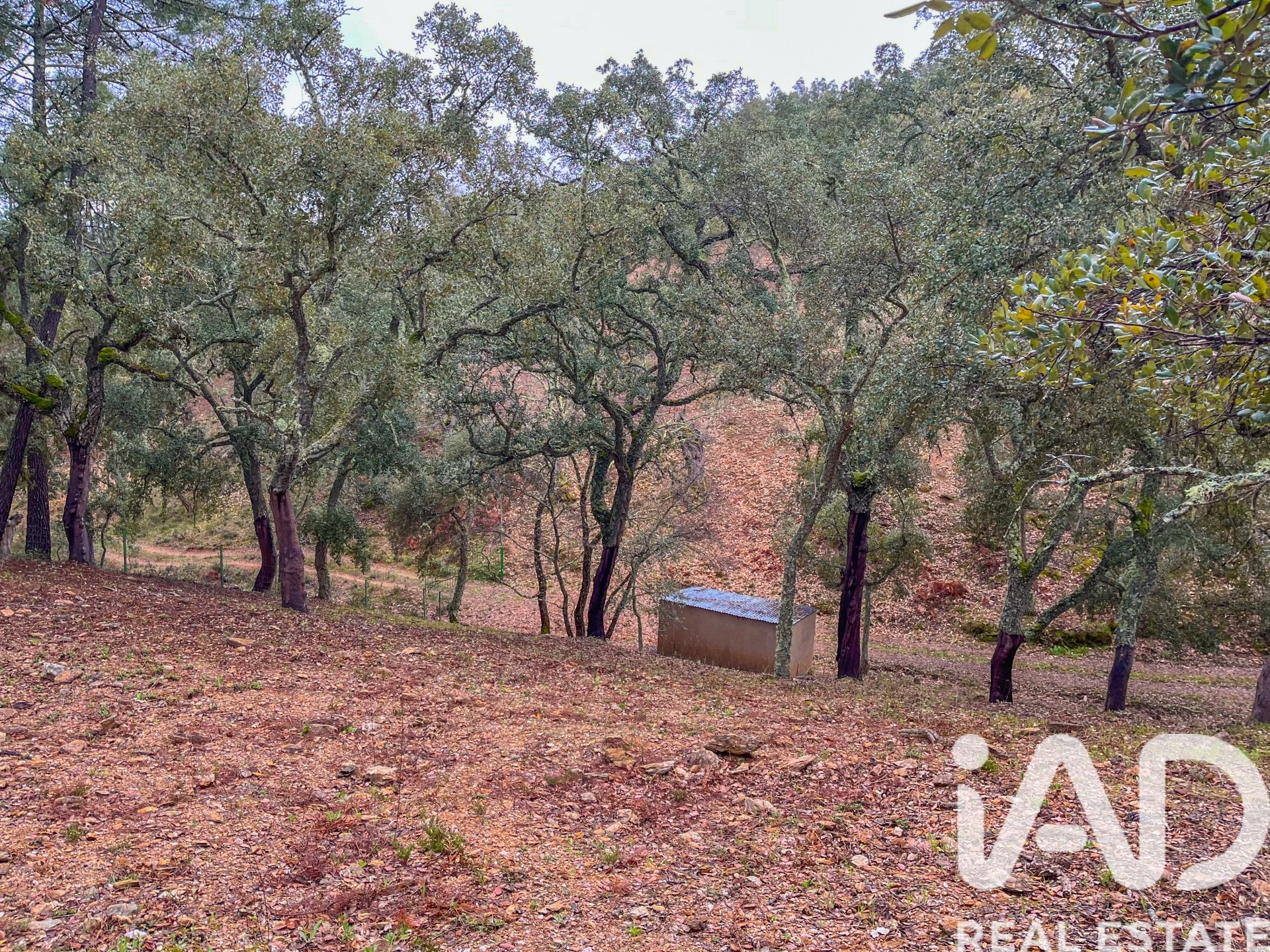 Terreno a Galaroza, Huelva, Spagna 35000 mq. N° 185087