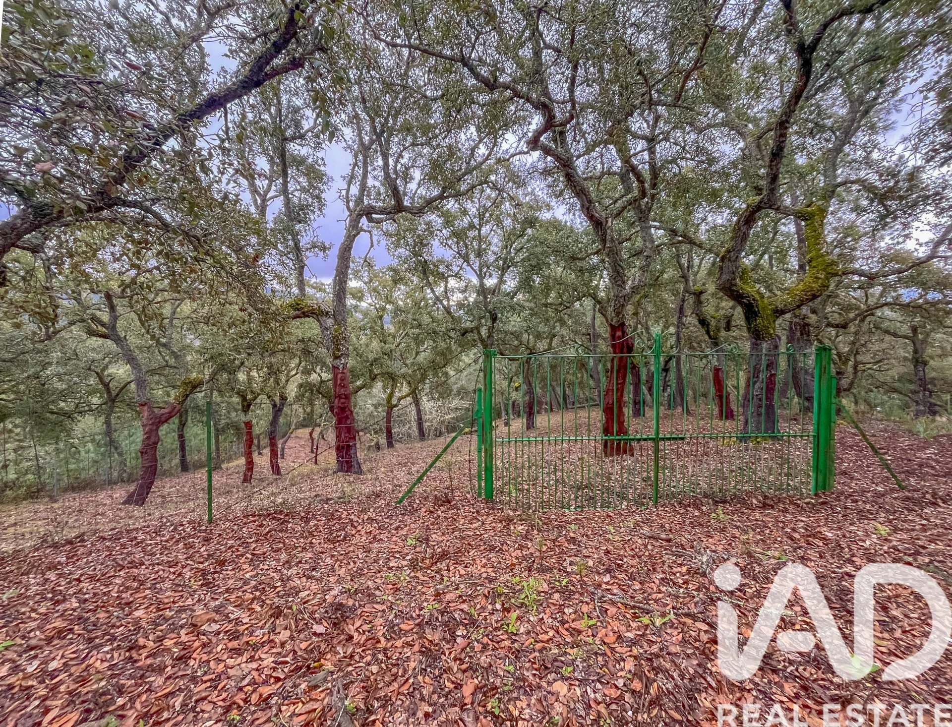 Terreno a Galaroza, Huelva, Spagna 35000 mq. N° 185087