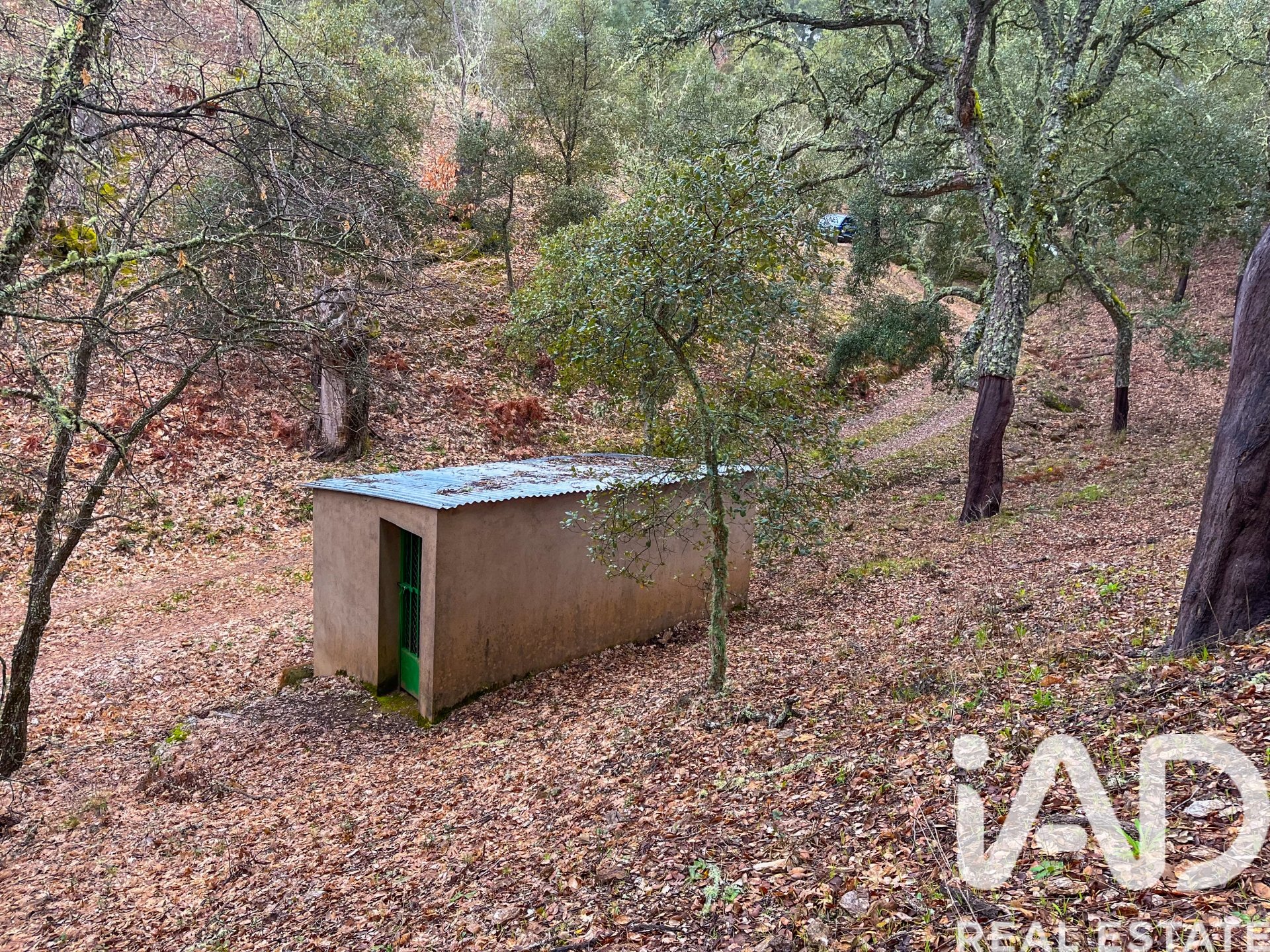 Terreno a Galaroza, Huelva, Spagna 35000 mq. N° 185087