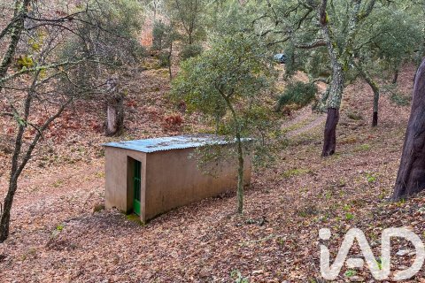 Land in Galaroza, Huelva, Spanien 35000 m2 Nr. 185087