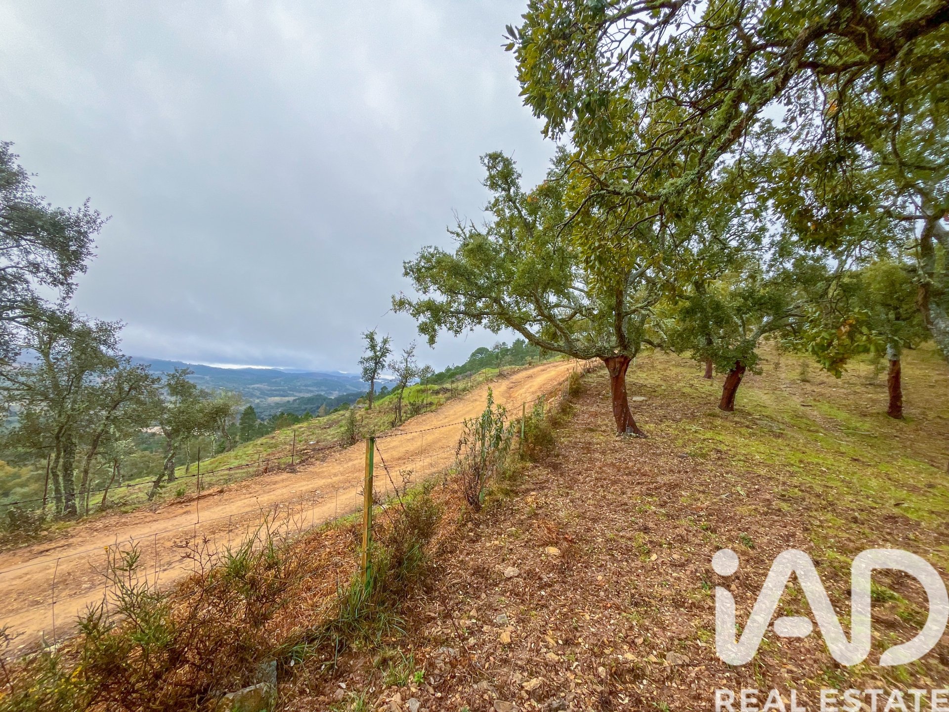 Terreno a Galaroza, Huelva, Spagna 35000 mq. N° 185087