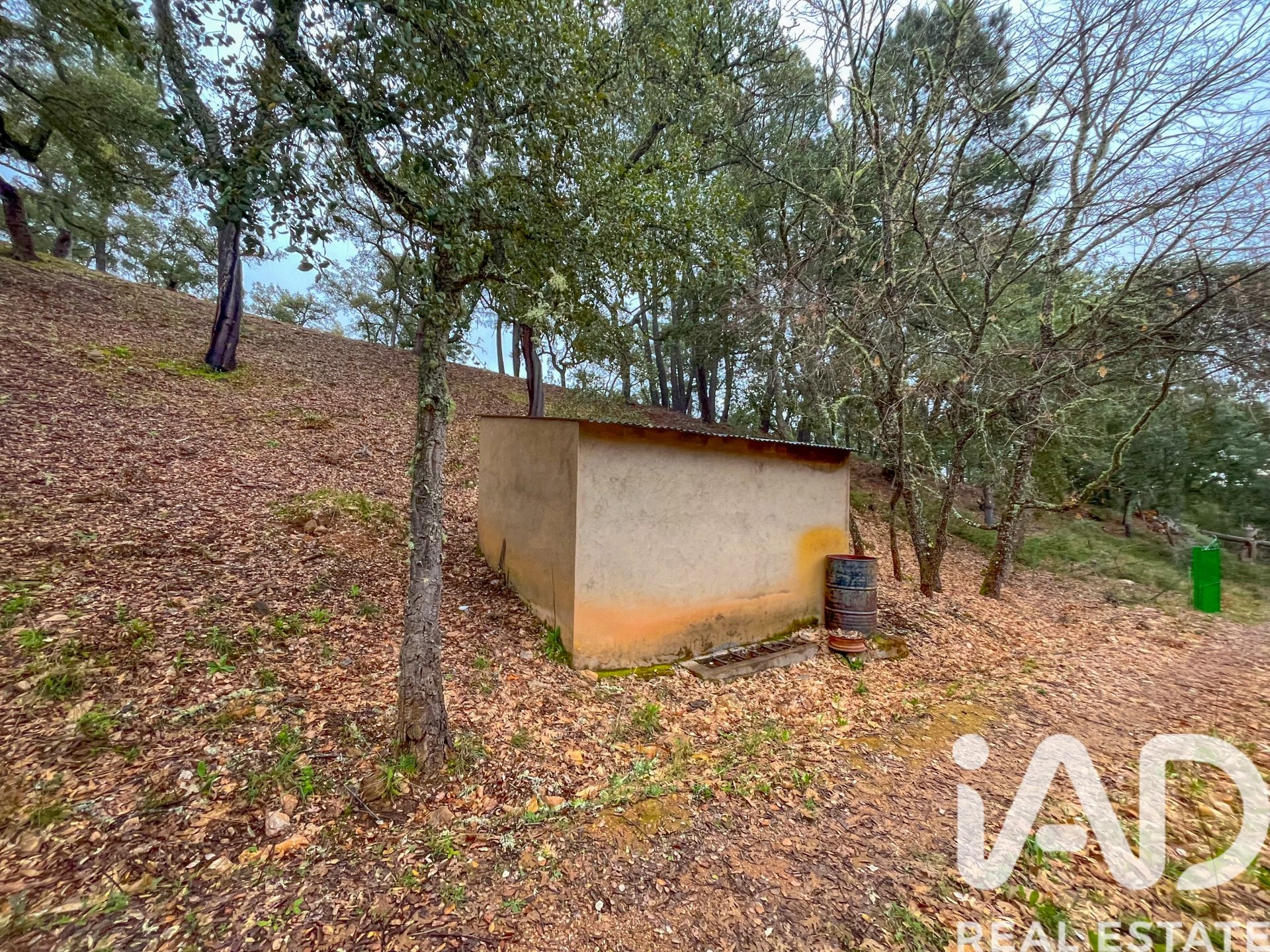 Terreno a Galaroza, Huelva, Spagna 35000 mq. N° 185087