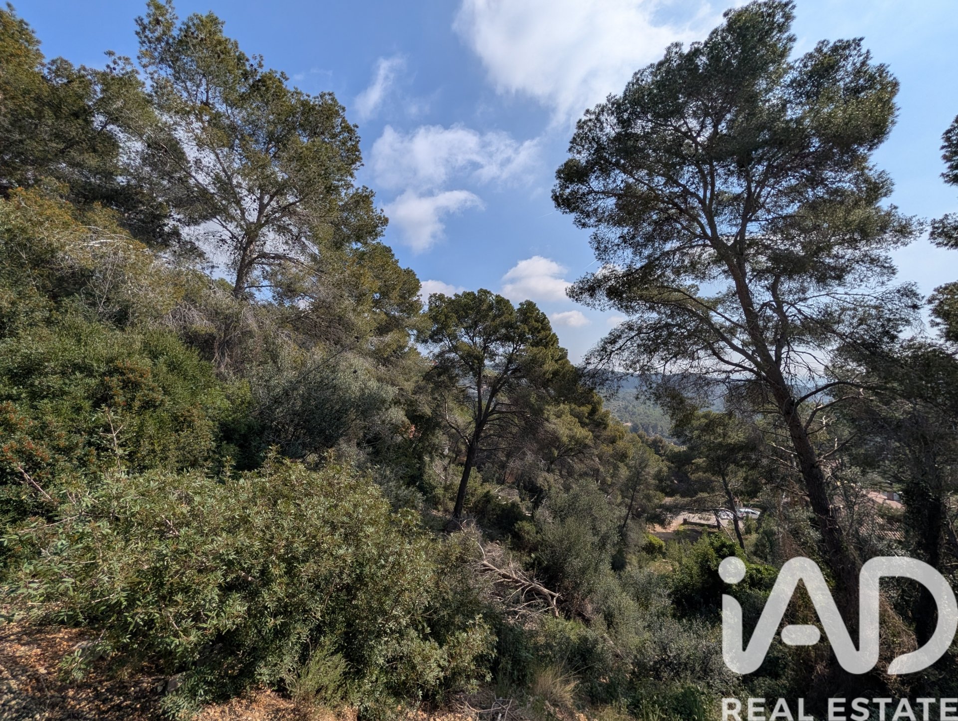 Land in Cunit, Tarragona, Spanien 3014 m2 Nr. 185086