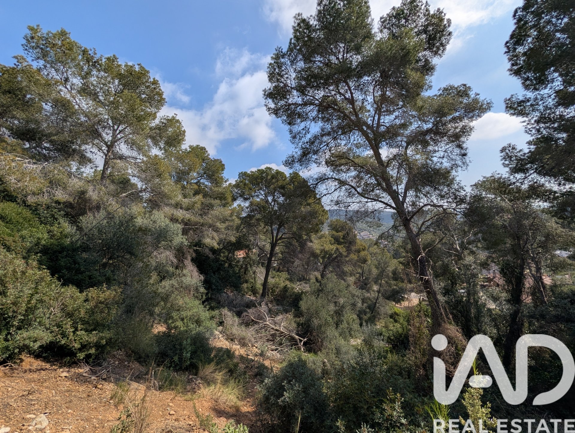 Land in Cunit, Tarragona, Spanien 3014 m2 Nr. 185086