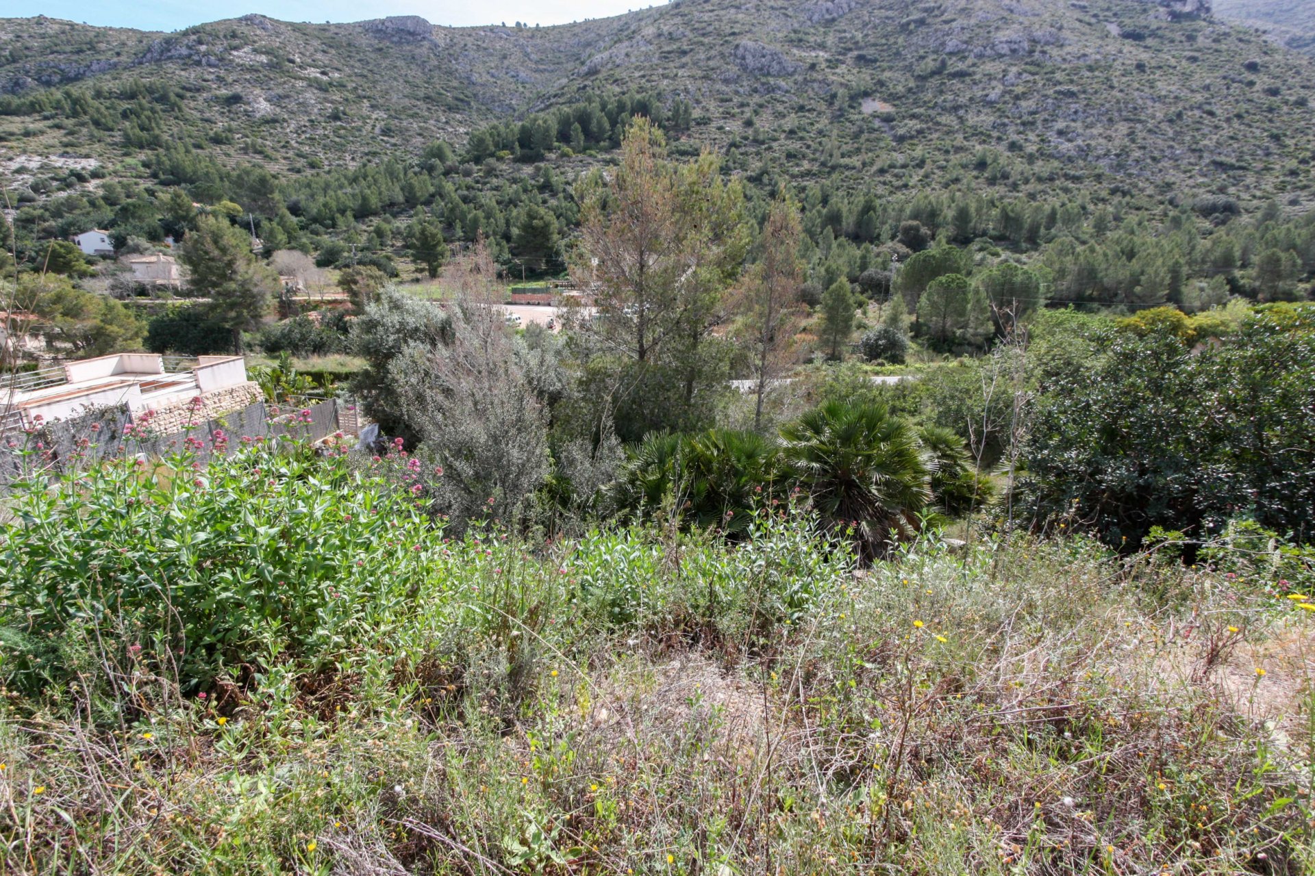 Zemes gabals Pedreguer, Alicante, Spānijā Nr. 183949