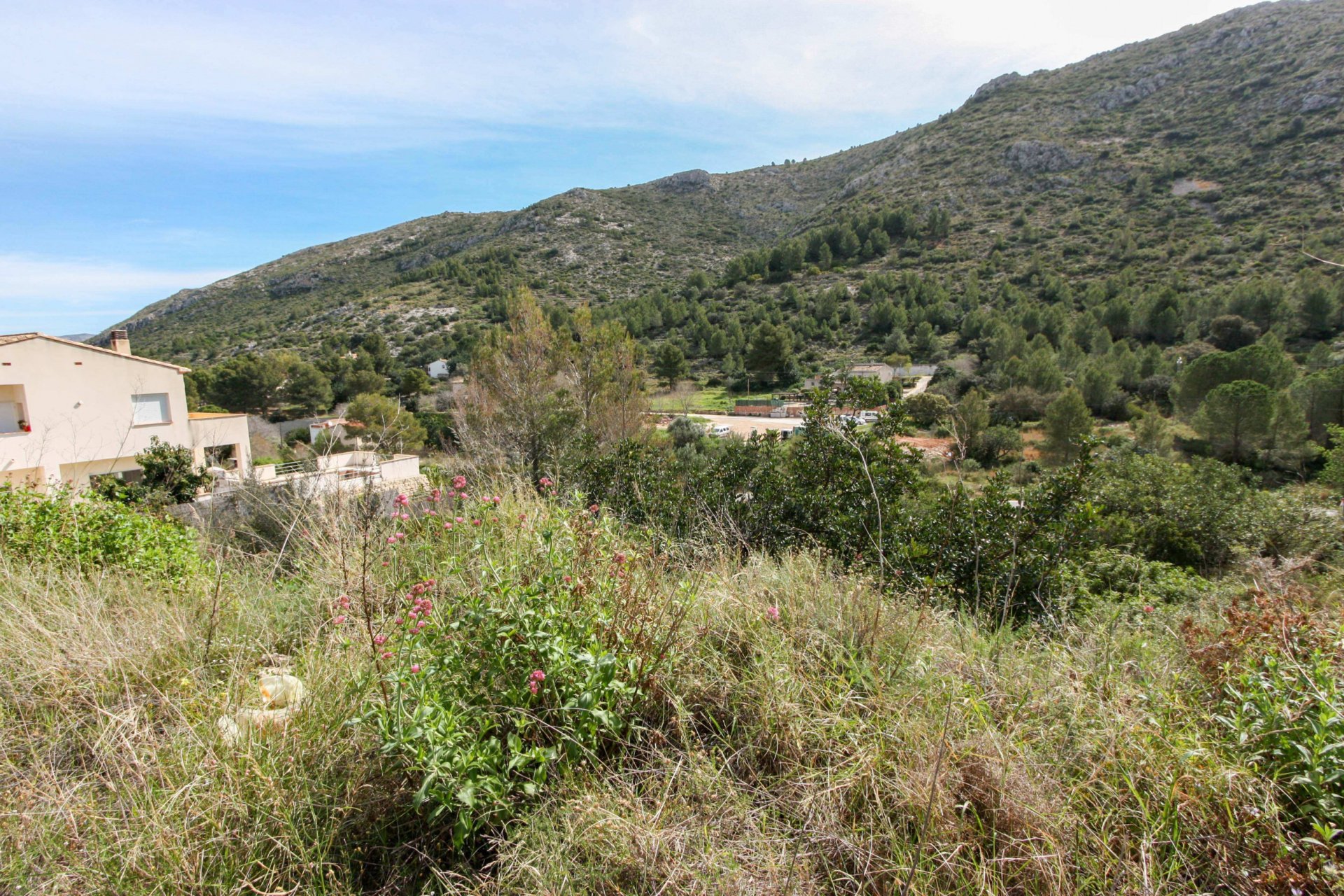 Zemes gabals Pedreguer, Alicante, Spānijā Nr. 183949