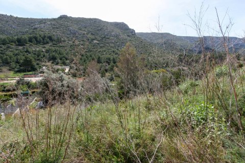 Land plot à Pedreguer, Alicante, Espagne No. 183949
