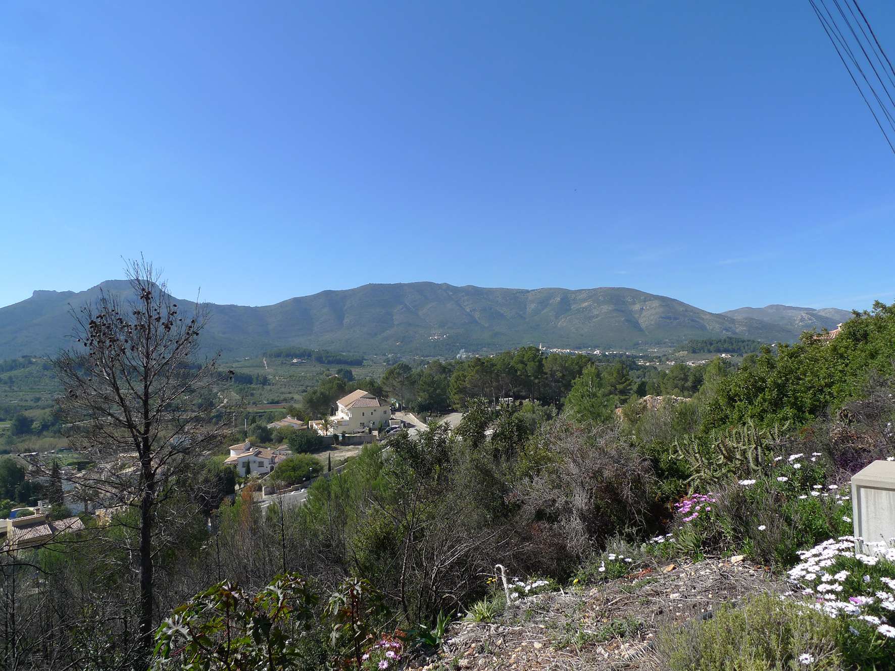 Terreno a Alcalali, Alicante, Spagna N° 183952