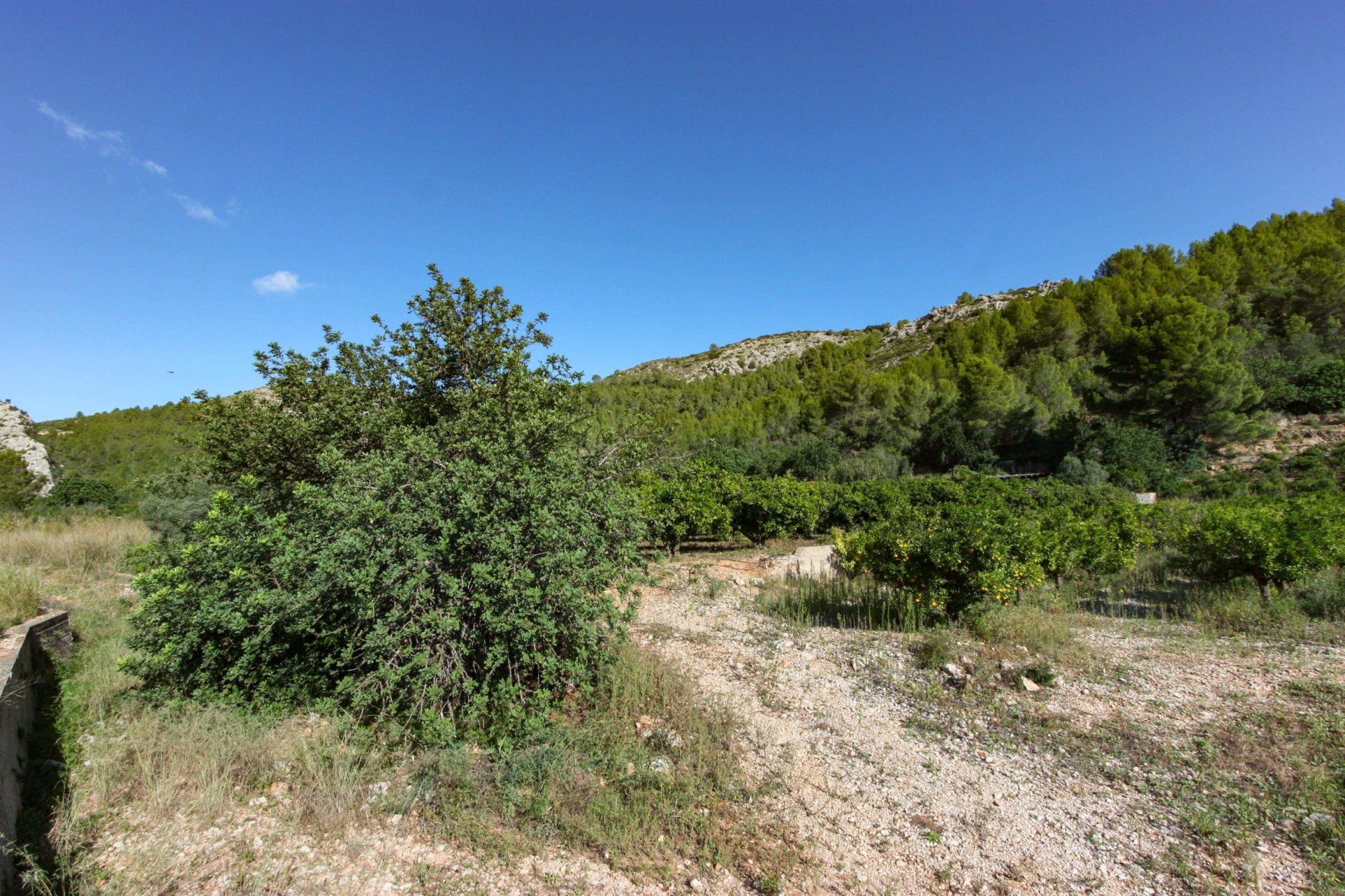 Tontti Sagra, Alicante, Espanja No. 183951