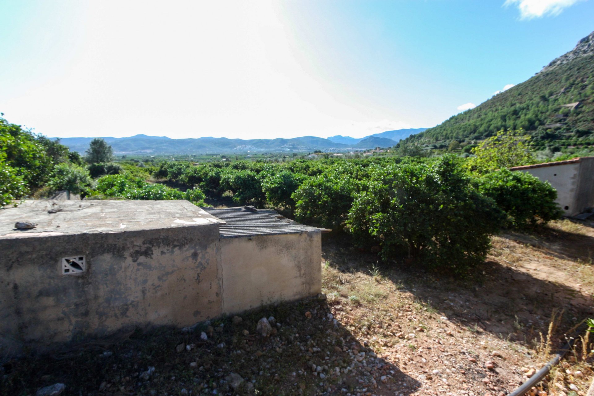 Tontti Sagra, Alicante, Espanja No. 183951