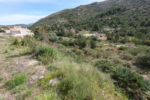 Land plot à Pedreguer, Alicante, Espagne No. 183950