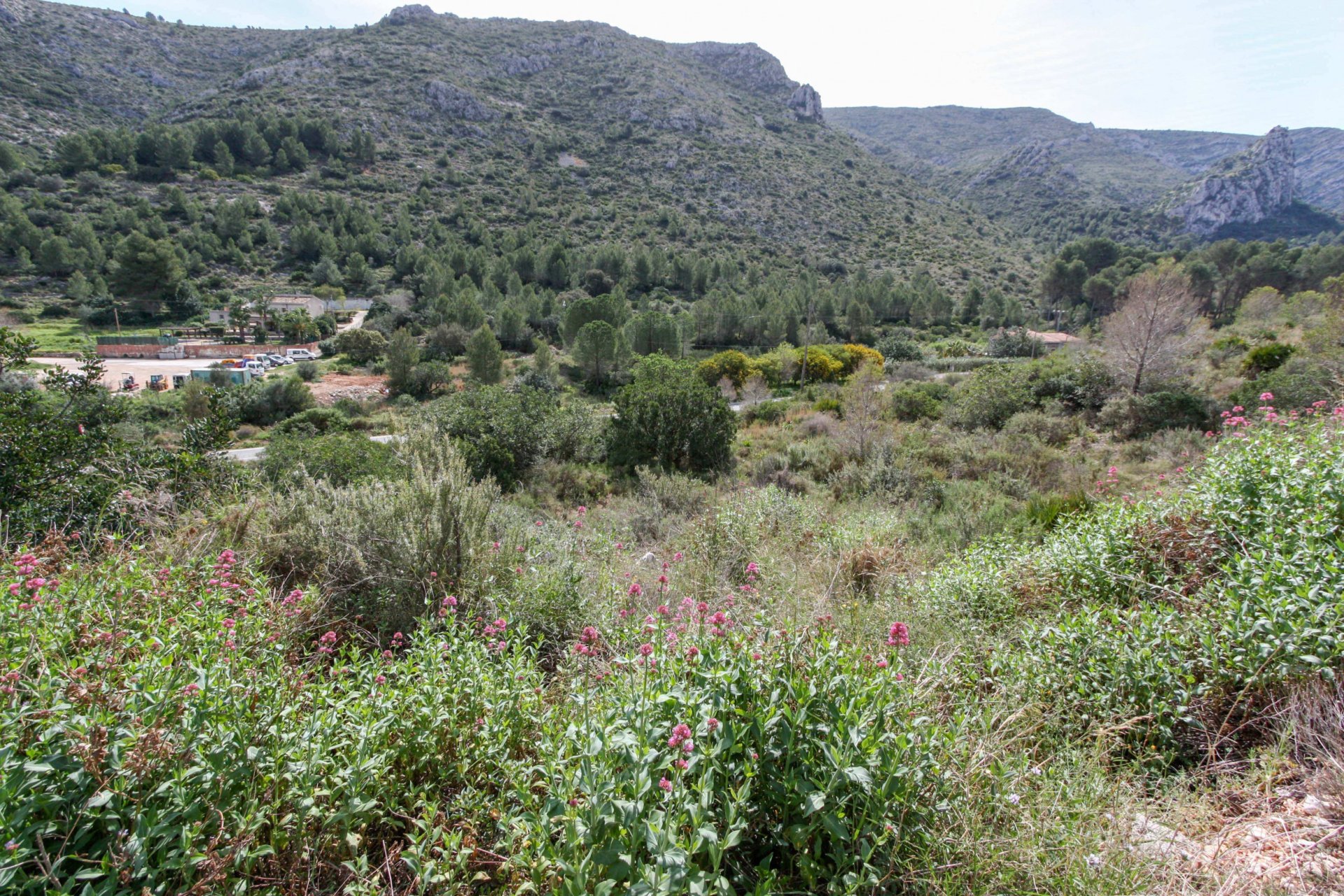 Parcela en Pedreguer, Alicante, España No. 183950
