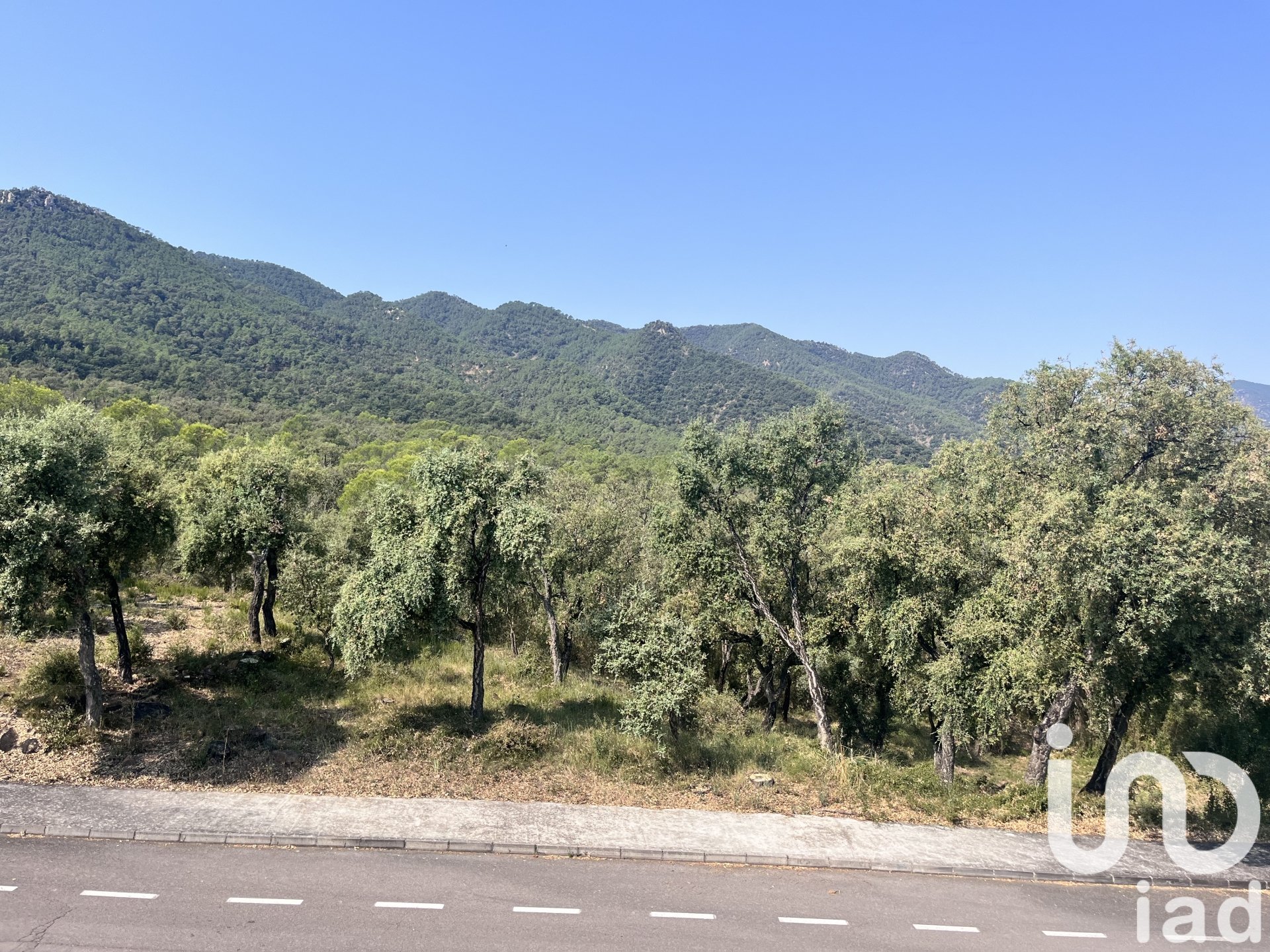 Apartment in Artana, Castellon, Spain 480 sq.m. No. 153183