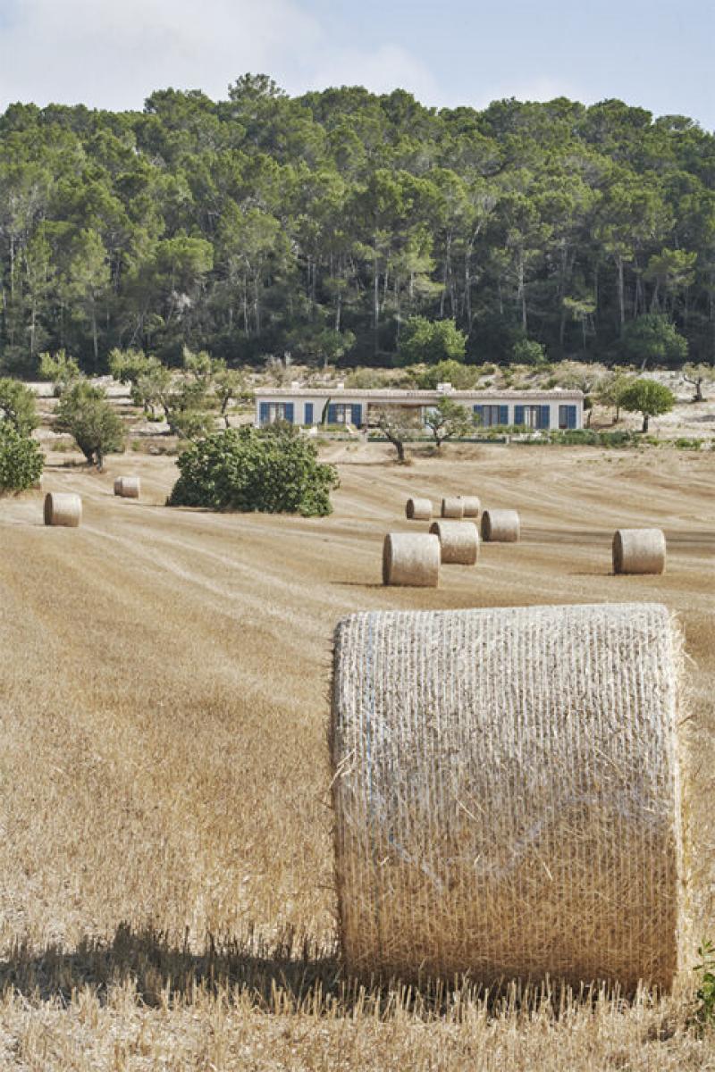 Zemes gabals Montuiri, Mallorca, Spānijā 250 m2 Nr. 103261