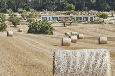 Tontti Montuiri, Mallorca, Espanja 250 m2 No. 103261