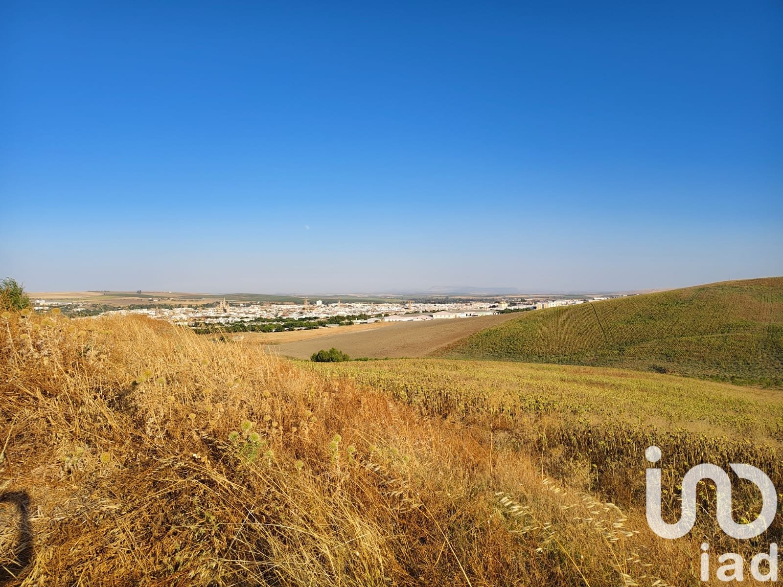 Lokal usługowy w Ecija, Seville, Hiszpania nr 153150