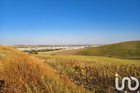 Коммерческая недвижимость в Экия, Севилья, Испания №153150