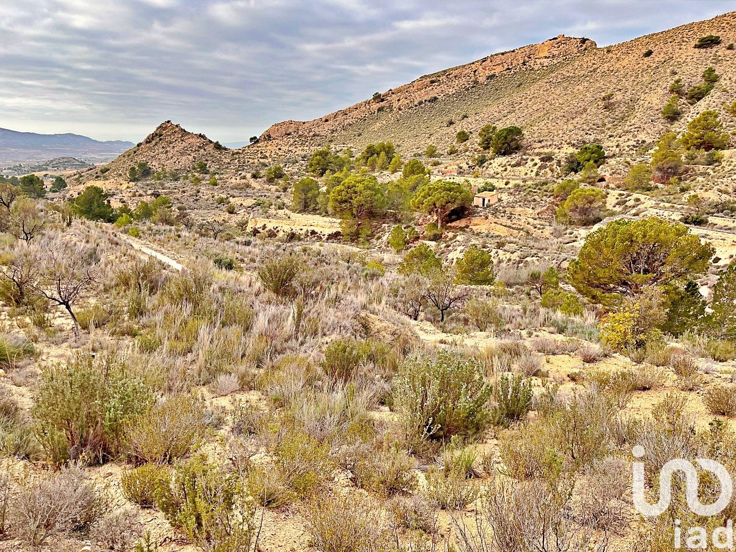 Zemes gabals Agost, Alicante, Spānijā 9238 m2 Nr. 186058