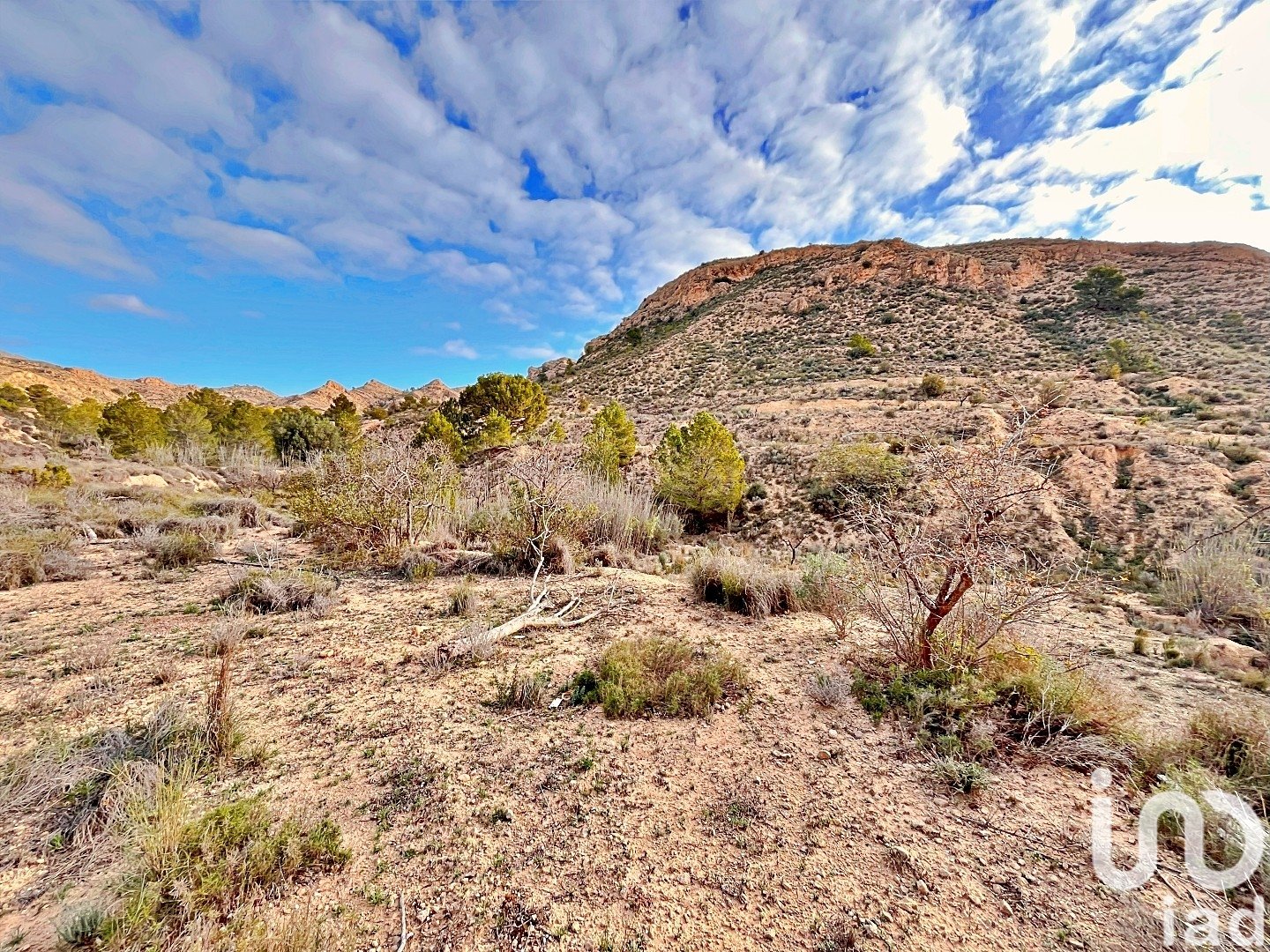 Zemes gabals Agost, Alicante, Spānijā 9238 m2 Nr. 186058