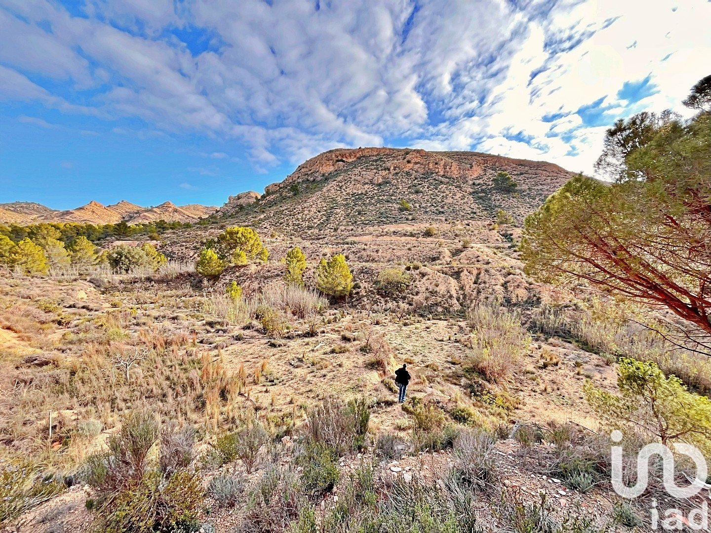 Zemes gabals Agost, Alicante, Spānijā 9238 m2 Nr. 186058