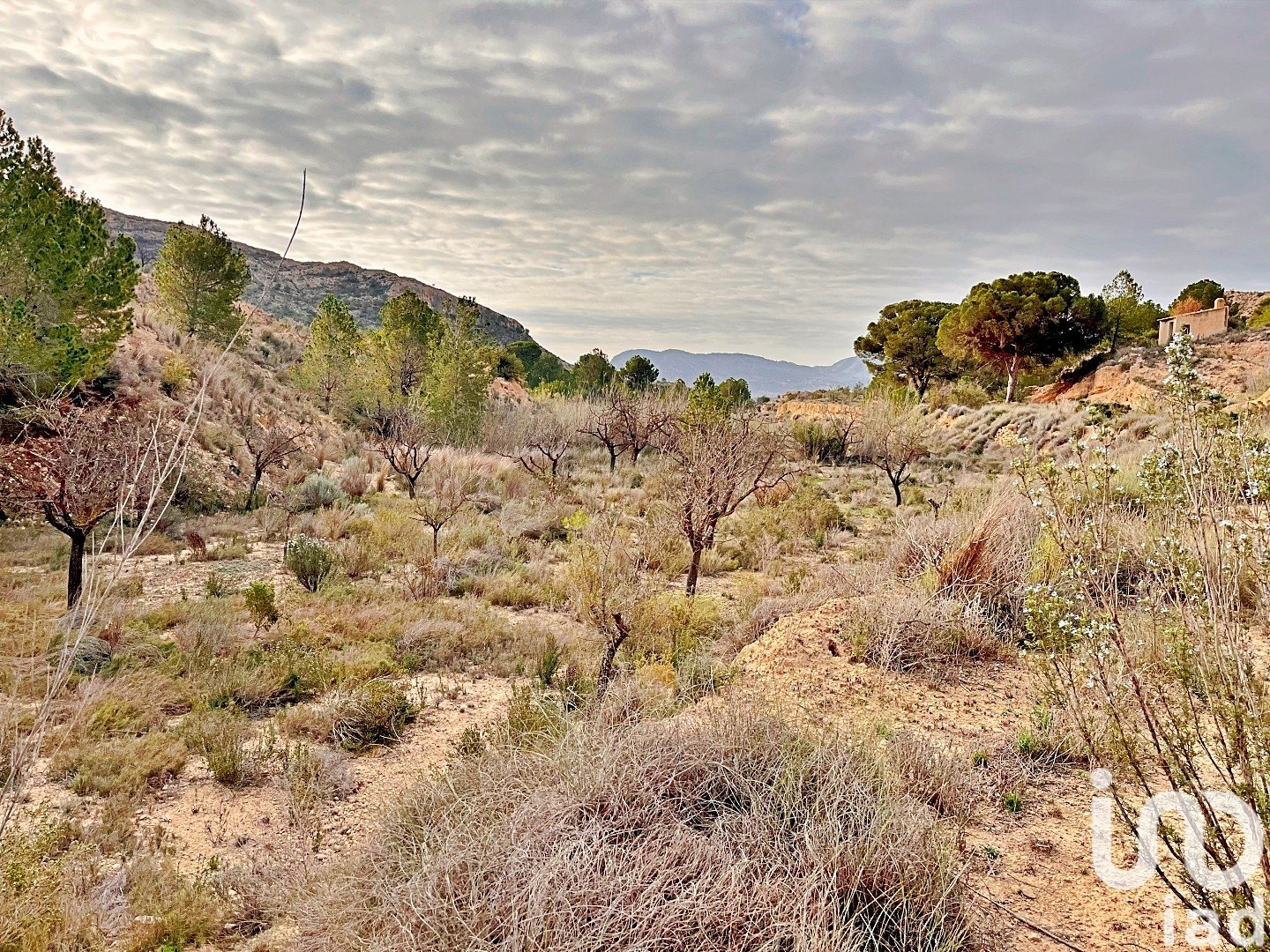 Zemes gabals Agost, Alicante, Spānijā 9238 m2 Nr. 186058