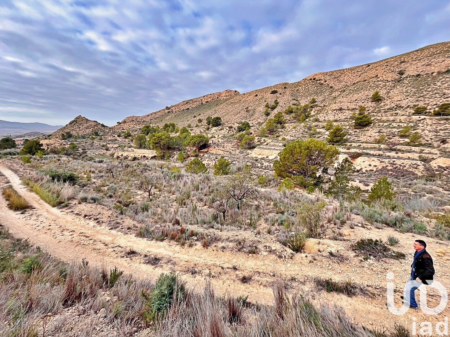 Zemes gabals Agost, Alicante, Spānijā 9238 m2 Nr. 186058