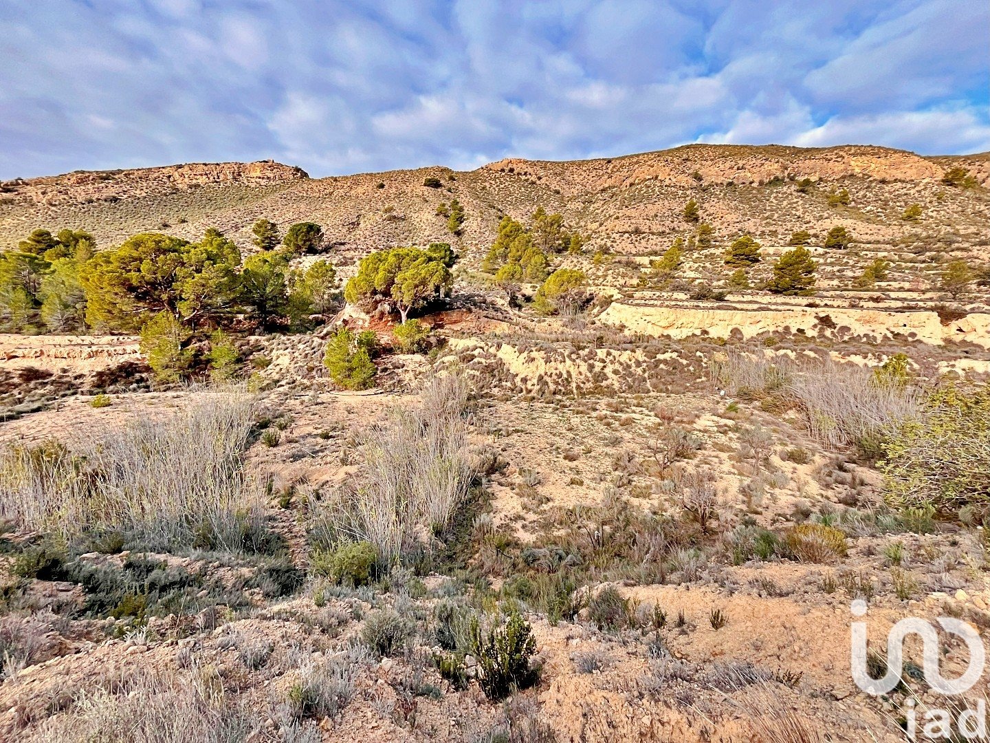 Zemes gabals Agost, Alicante, Spānijā 9238 m2 Nr. 186058