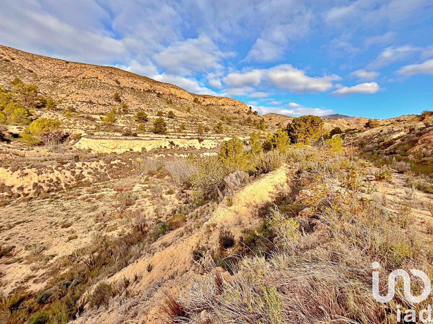 Zemes gabals Agost, Alicante, Spānijā 9238 m2 Nr. 186058