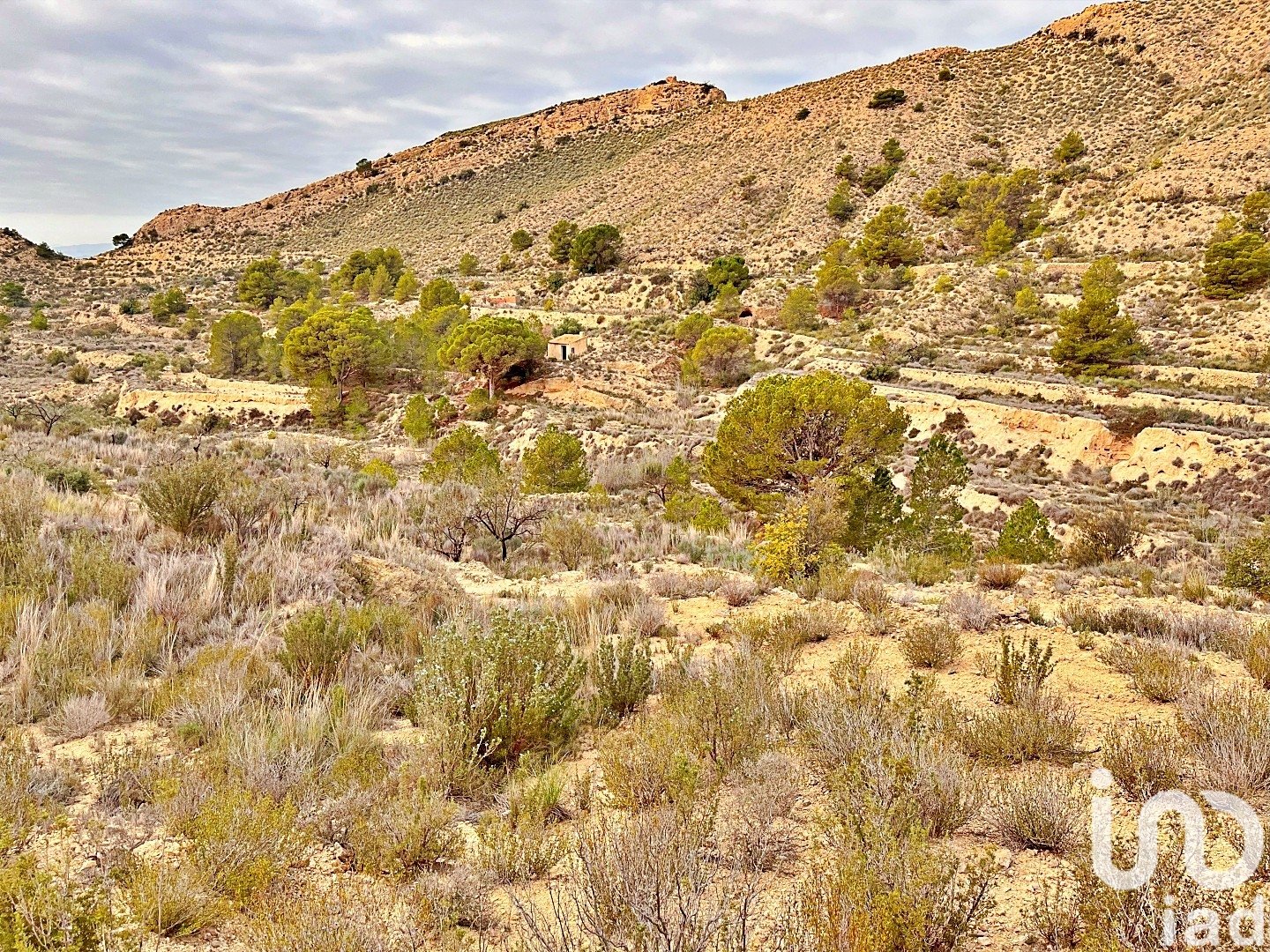 Zemes gabals Agost, Alicante, Spānijā 9238 m2 Nr. 186058