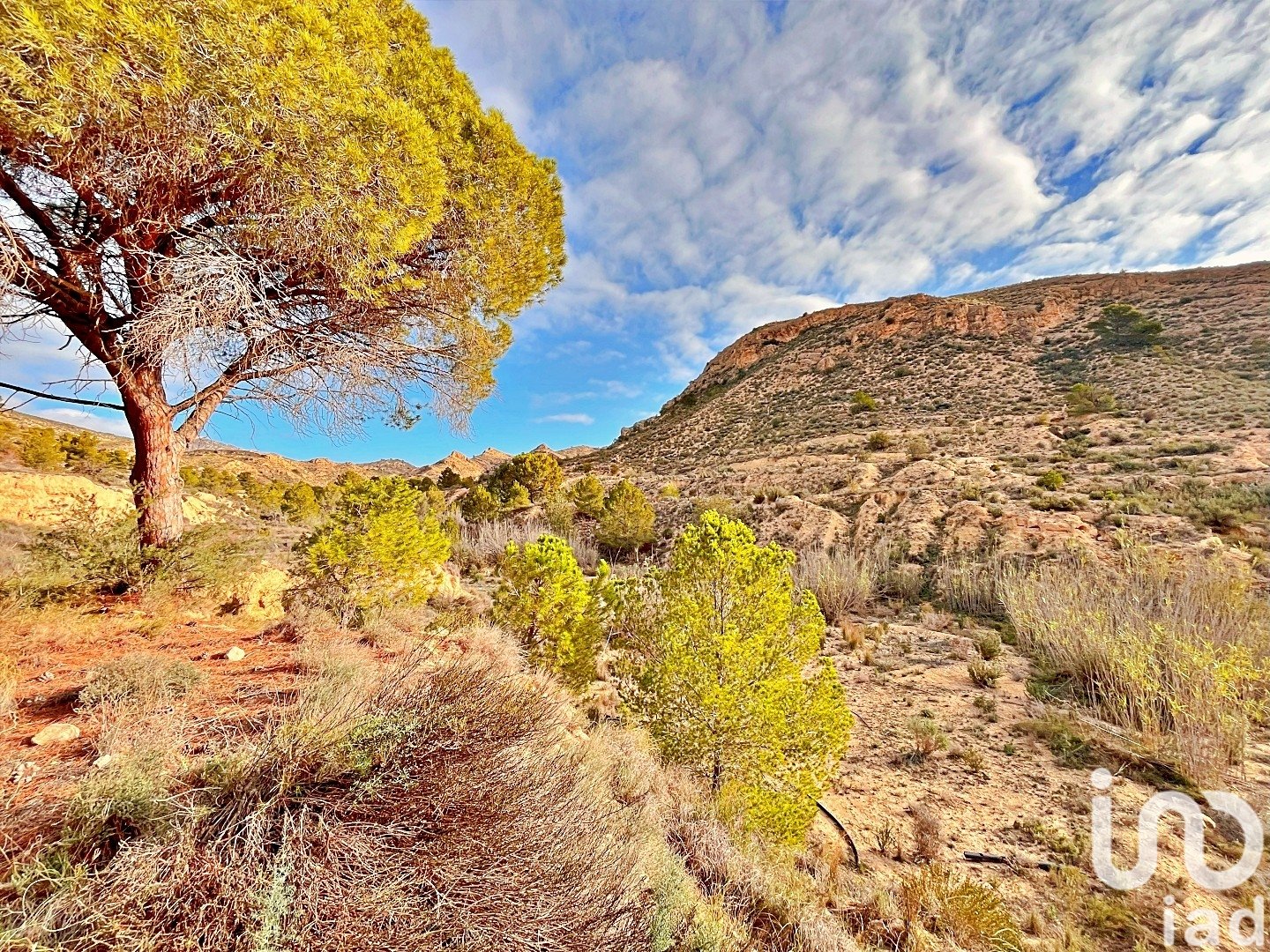 Zemes gabals Agost, Alicante, Spānijā 9238 m2 Nr. 186058