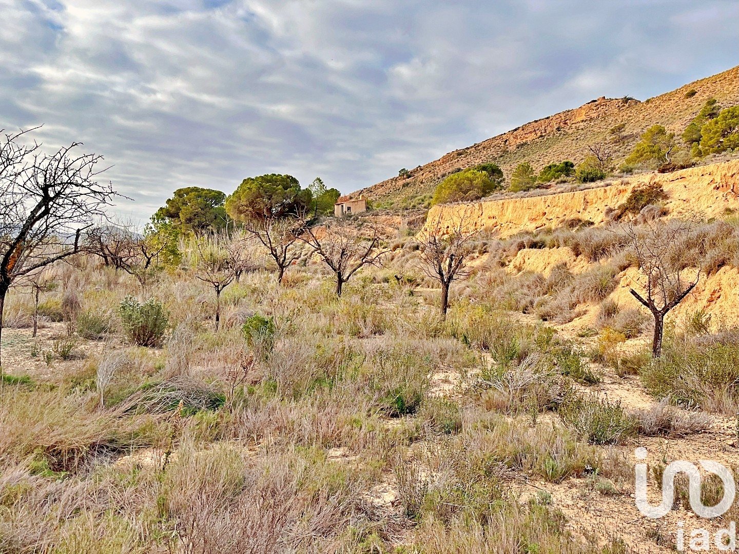 Zemes gabals Agost, Alicante, Spānijā 9238 m2 Nr. 186058