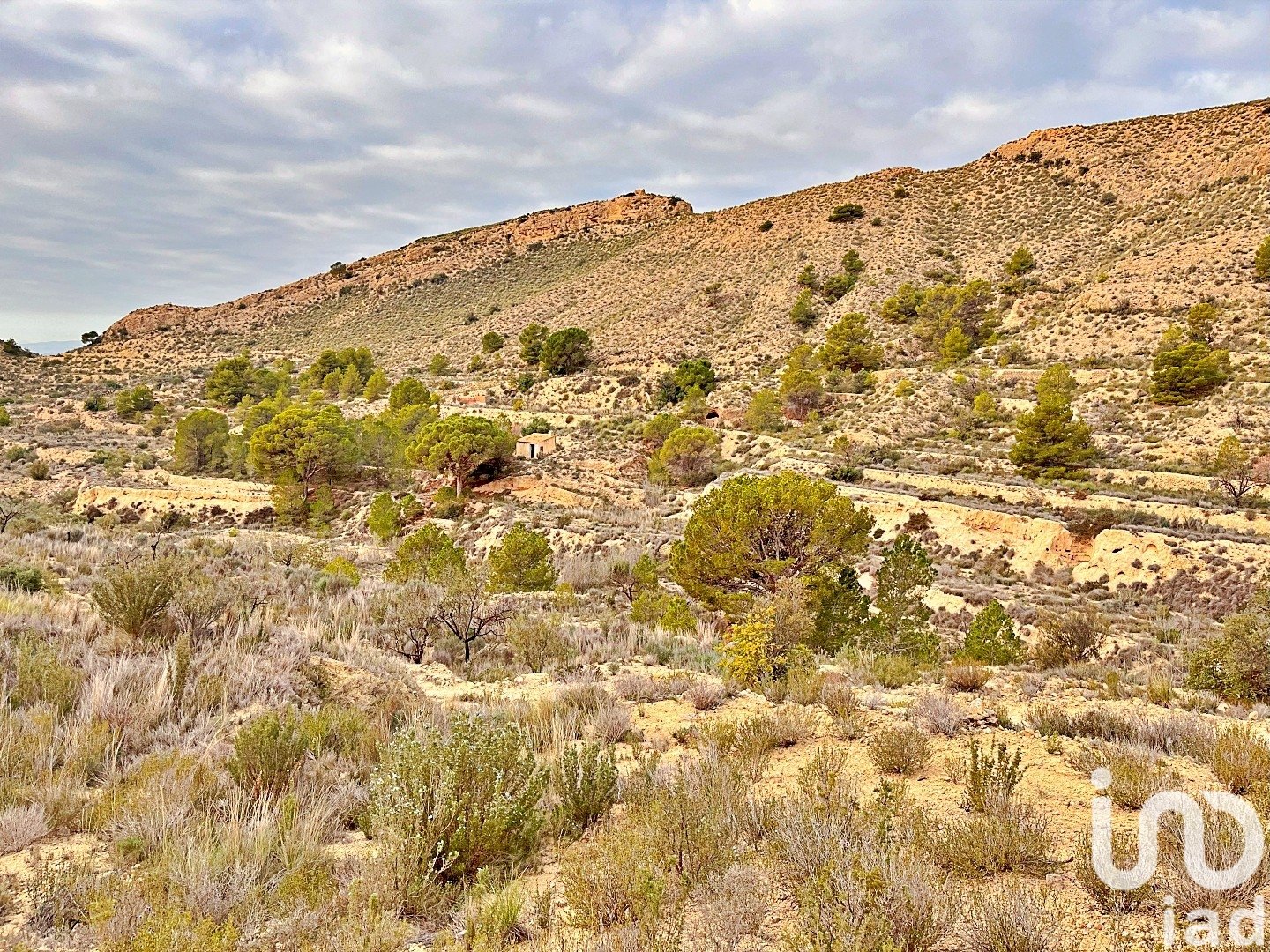 Zemes gabals Agost, Alicante, Spānijā 9238 m2 Nr. 186058