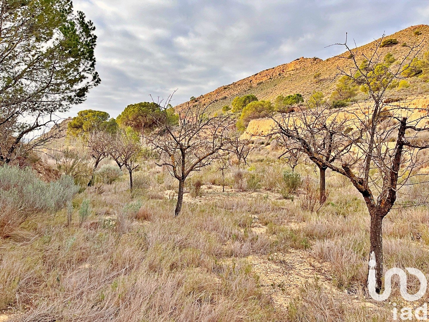 Zemes gabals Agost, Alicante, Spānijā 9238 m2 Nr. 186058