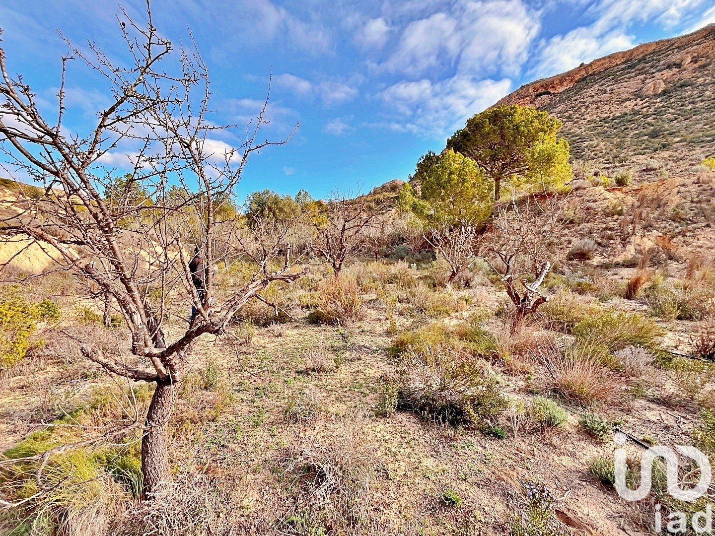 Zemes gabals Agost, Alicante, Spānijā 9238 m2 Nr. 186058