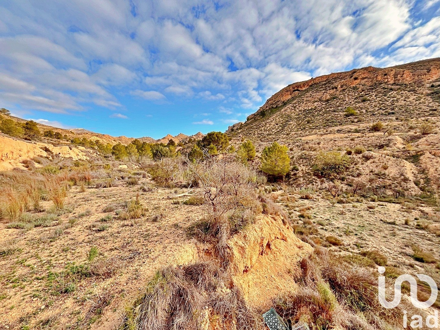 Zemes gabals Agost, Alicante, Spānijā 9238 m2 Nr. 186058