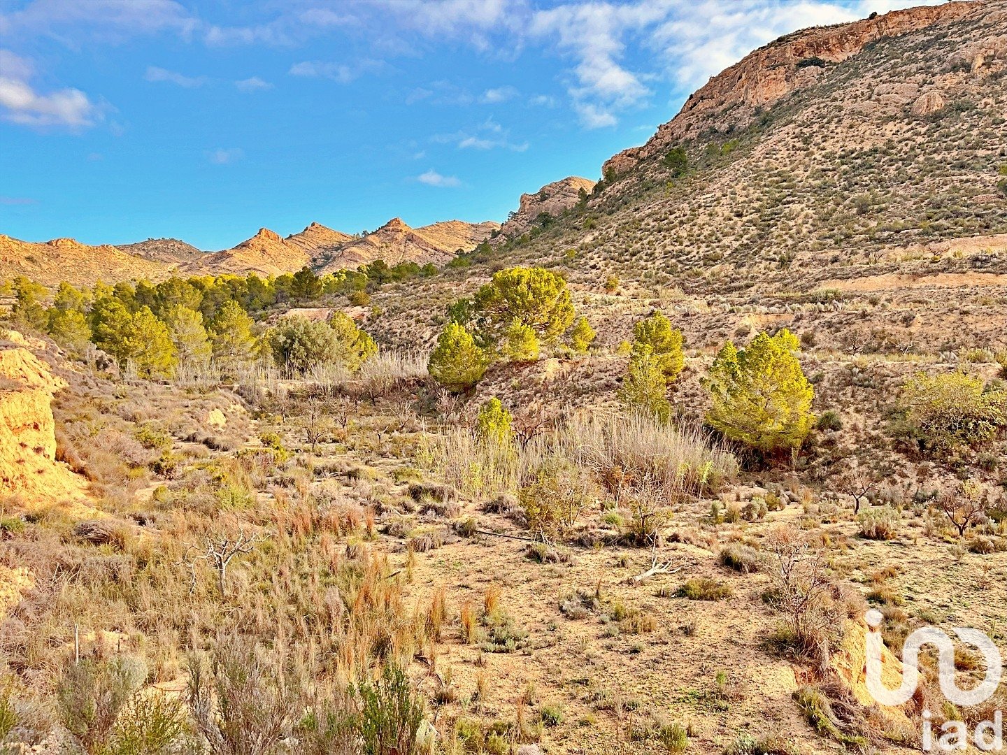 Zemes gabals Agost, Alicante, Spānijā 9238 m2 Nr. 186058