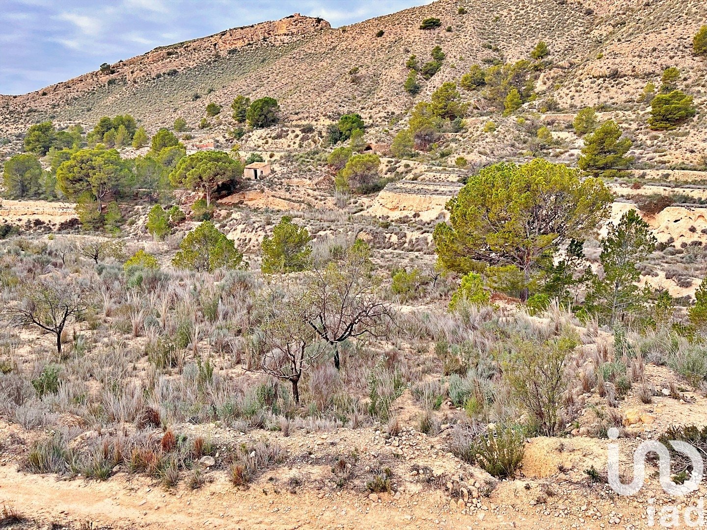 Zemes gabals Agost, Alicante, Spānijā 9238 m2 Nr. 186058