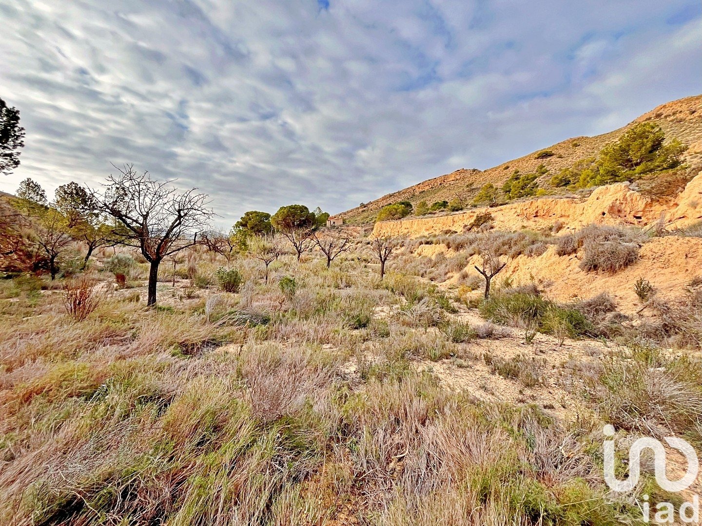 Zemes gabals Agost, Alicante, Spānijā 9238 m2 Nr. 186058