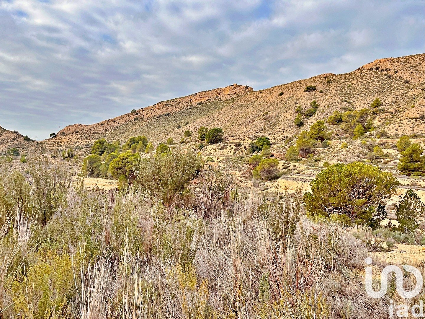 Zemes gabals Agost, Alicante, Spānijā 9238 m2 Nr. 186058