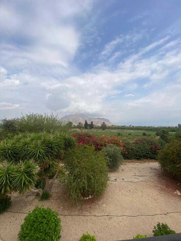 Huvila Orihuela, Alicante, Espanja 4 makuuhuonetta, 274 m2 No. 190306