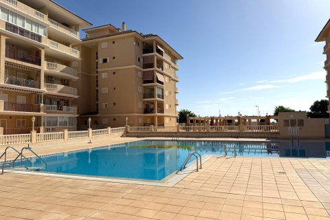 Lägenhet i Torrevieja, Alicante, Spanien 1 sovrum, 50 kvm. Nr. 196000