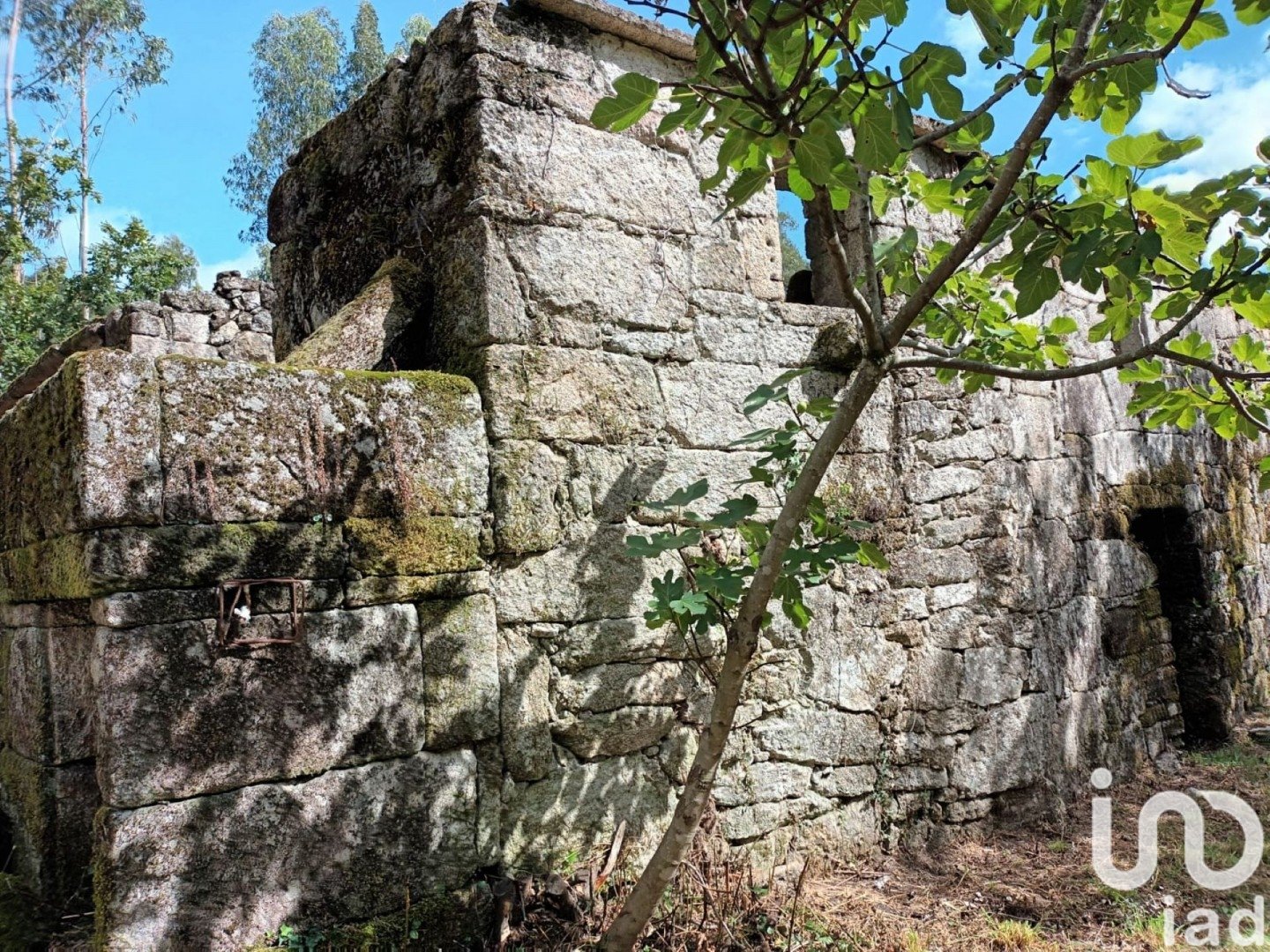 Land plot à Ponte Caldelas, Pontevedra, Espagne 3072 m2 No. 186083