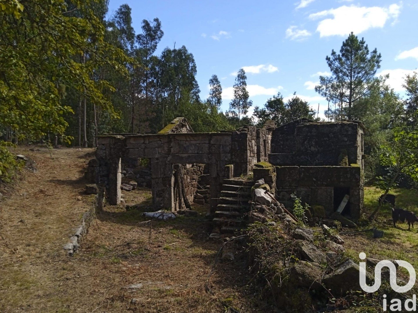 Land plot à Ponte Caldelas, Pontevedra, Espagne 3072 m2 No. 186083