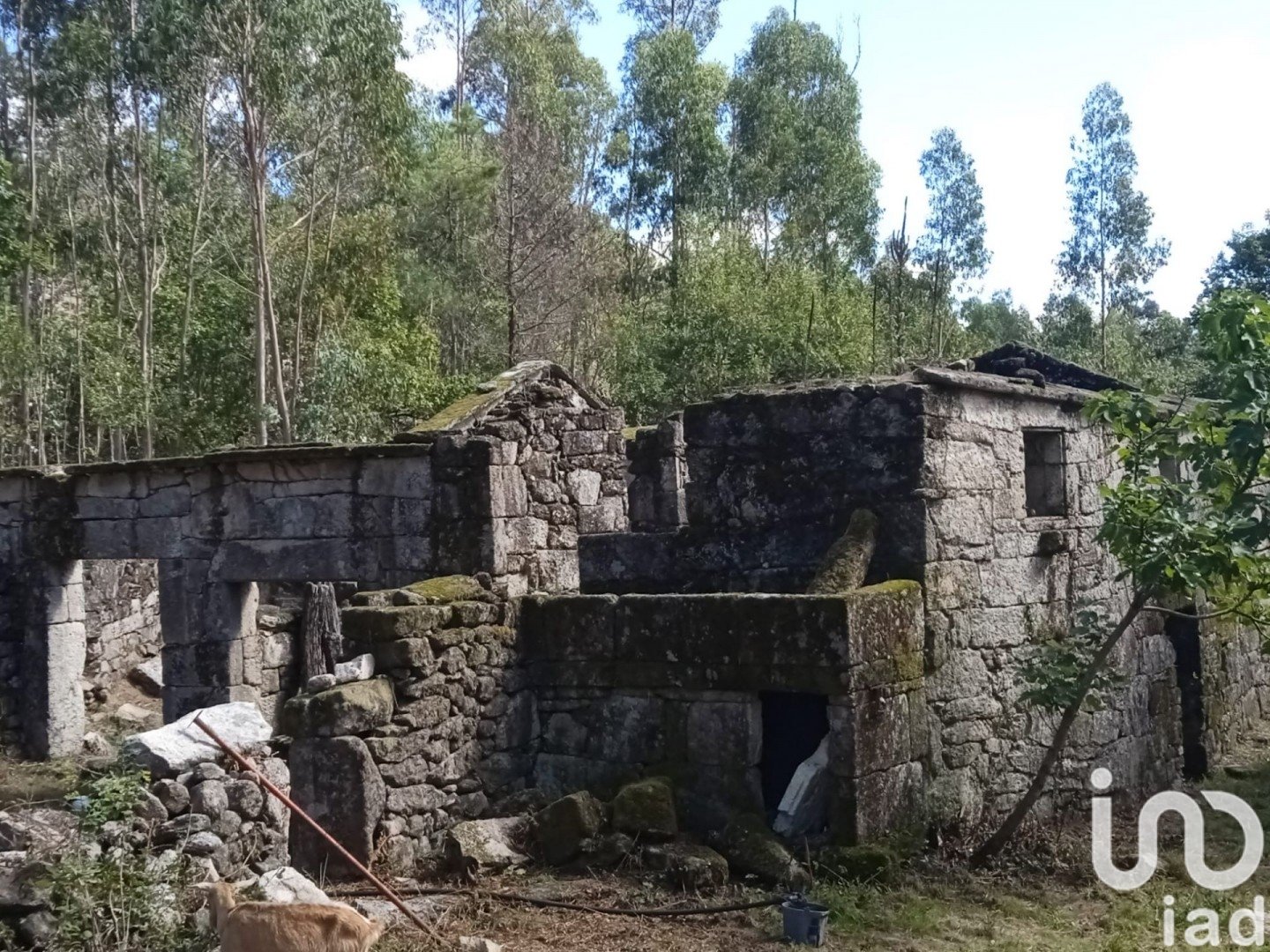 Land plot à Ponte Caldelas, Pontevedra, Espagne 3072 m2 No. 186083
