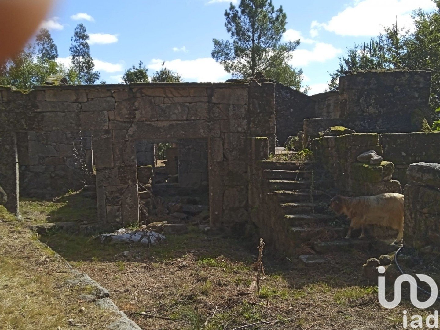 Land plot à Ponte Caldelas, Pontevedra, Espagne 3072 m2 No. 186083