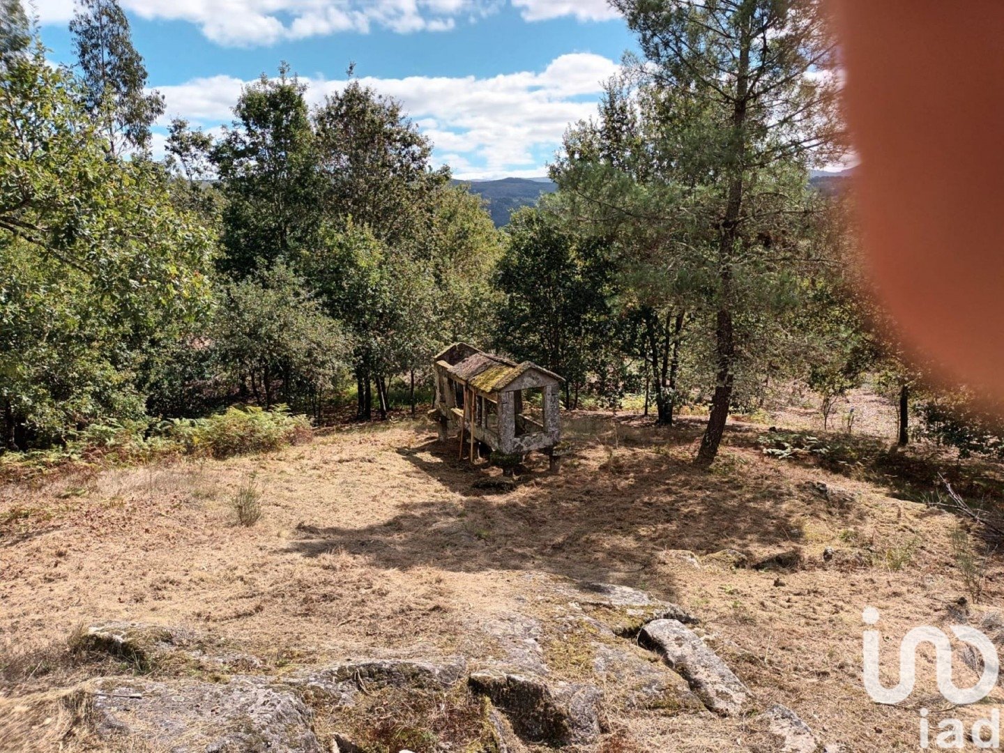 Land plot à Ponte Caldelas, Pontevedra, Espagne 3072 m2 No. 186083