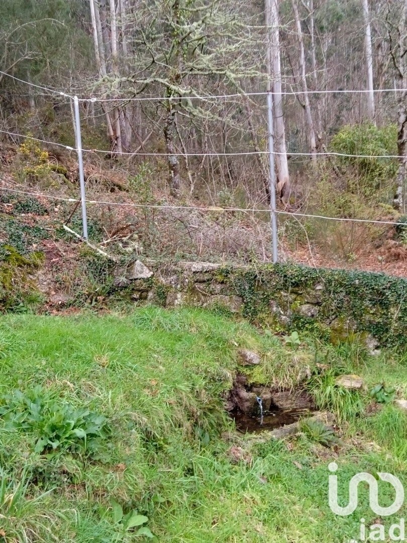 Land plot à Ponte Caldelas, Pontevedra, Espagne 3072 m2 No. 186083