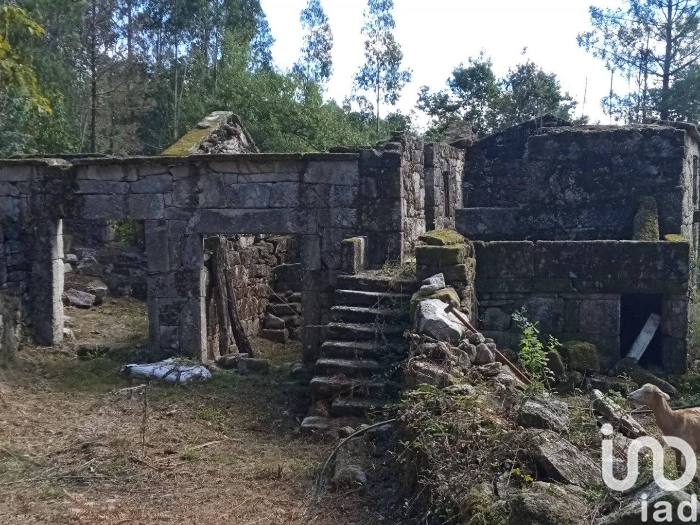 Land plot à Ponte Caldelas, Pontevedra, Espagne 3072 m2 No. 186083